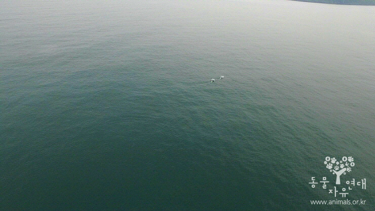 2015773162610382253004.jpg
