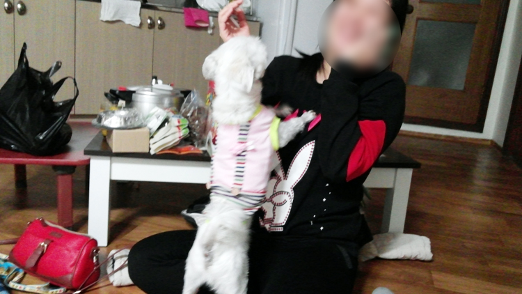 20151203181644776159674.jpg