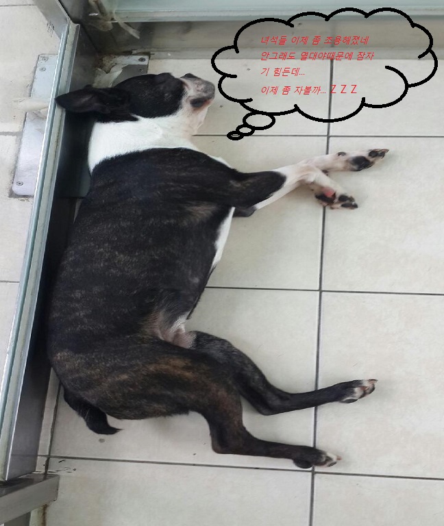 20158124225546310681532.jpeg