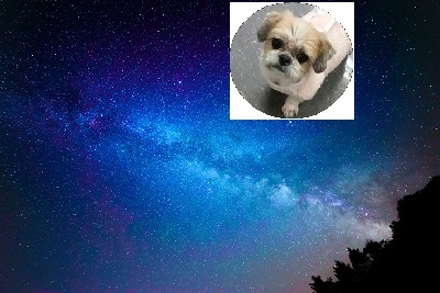 201722461844391049479655.jpg