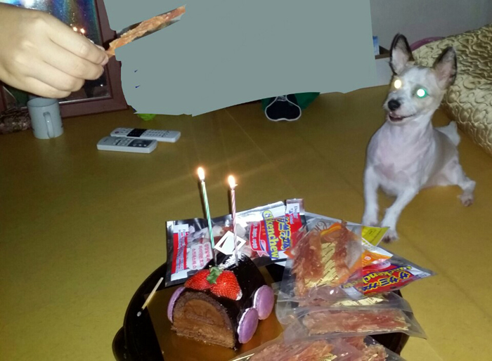 2014731516485240032953.jpeg