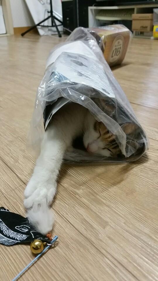 2014122071457650857822.jpeg