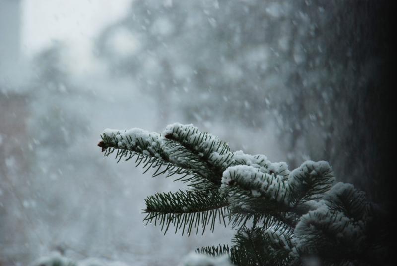 S201512186145312452953437.jpg