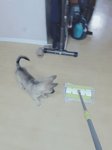 2016845132627195626074.gif