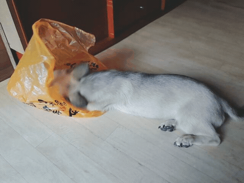 2016845132449195626074.gif