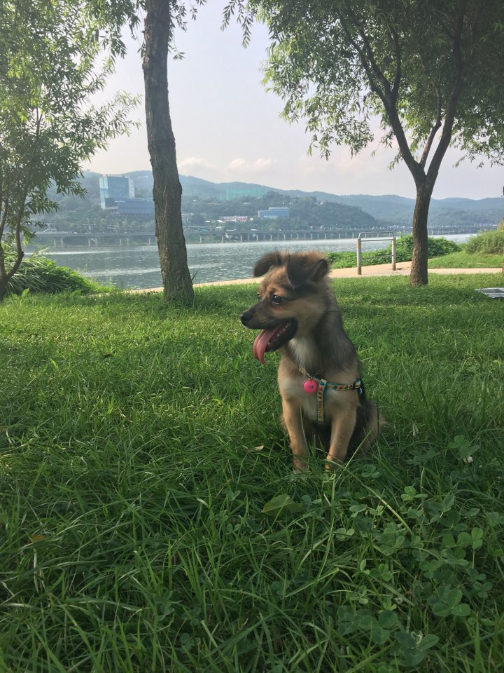 2016101461545291015492626.jpeg