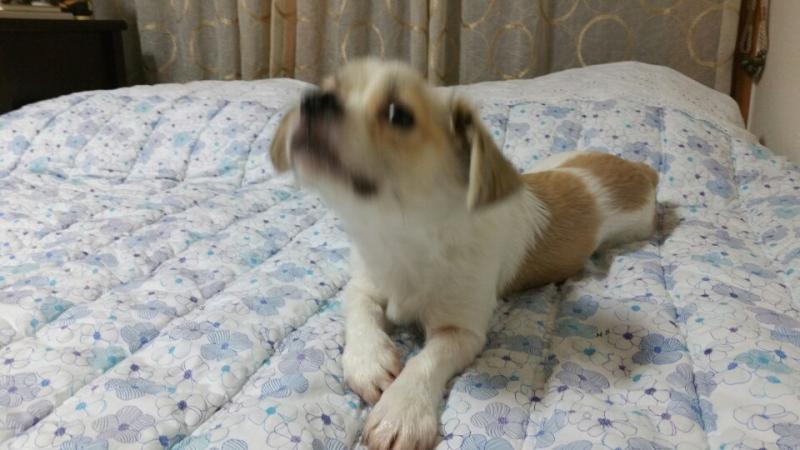 S20161227313756115731243.jpeg