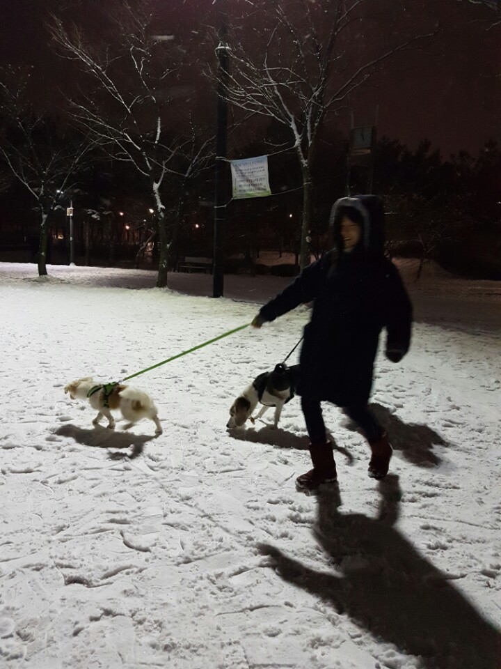 2017124301110744855501.jpg