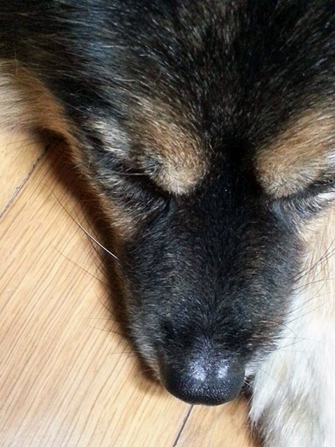 20171066135659771339631.jpg