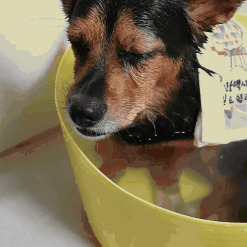 201711165133824534977148.gif