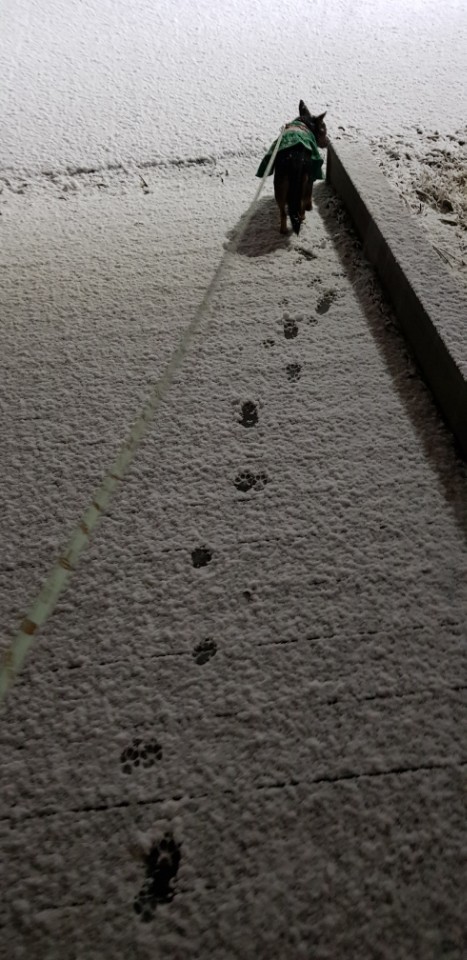 20181115161939936780226.jpg
