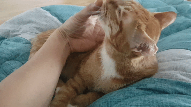 201865321231768993173.gif
