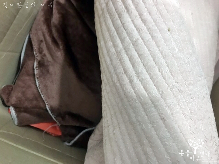 201711235173120746484654.jpg