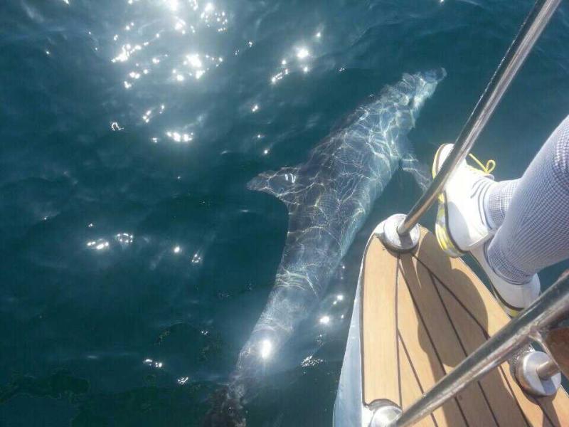 S2015747134624813922811.jpg