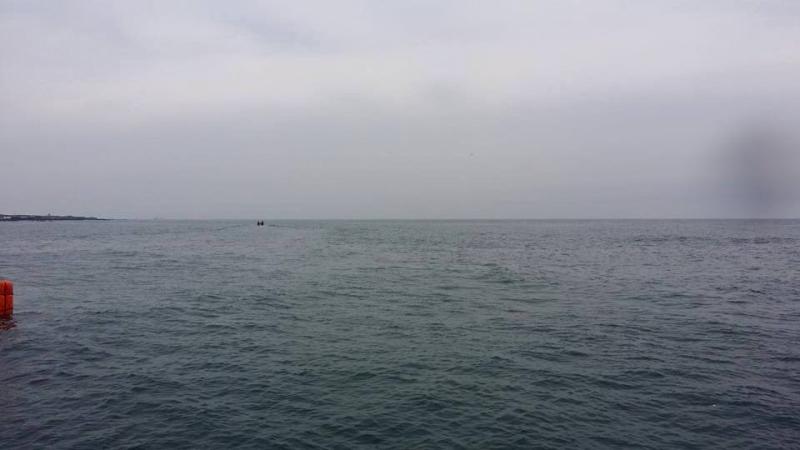 S2015762203059168065813.jpg