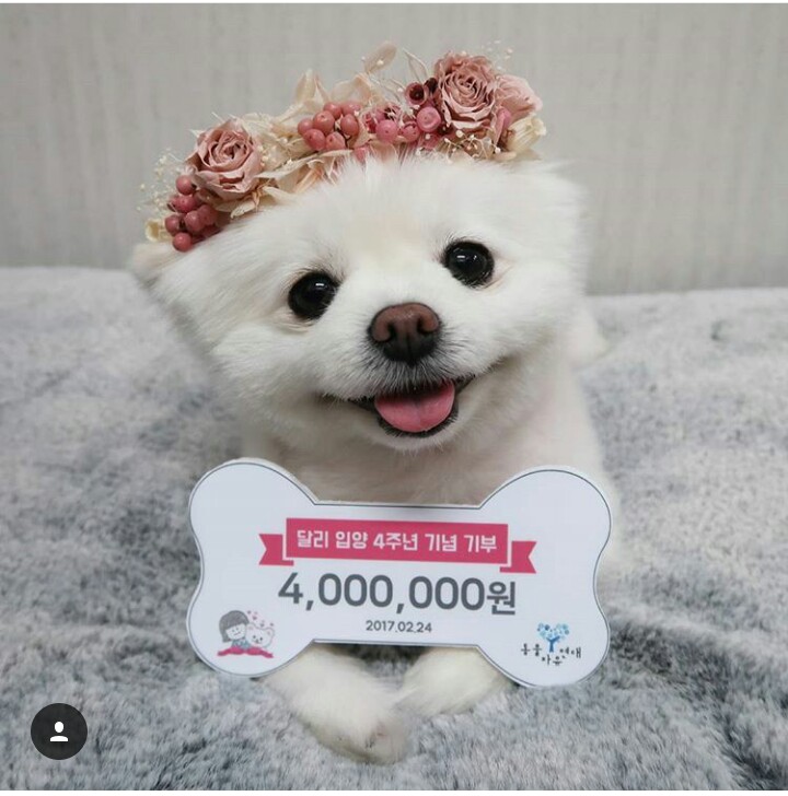 2017227211188404058629.jpg