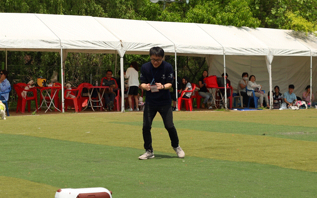 20185186111612686975115.gif
