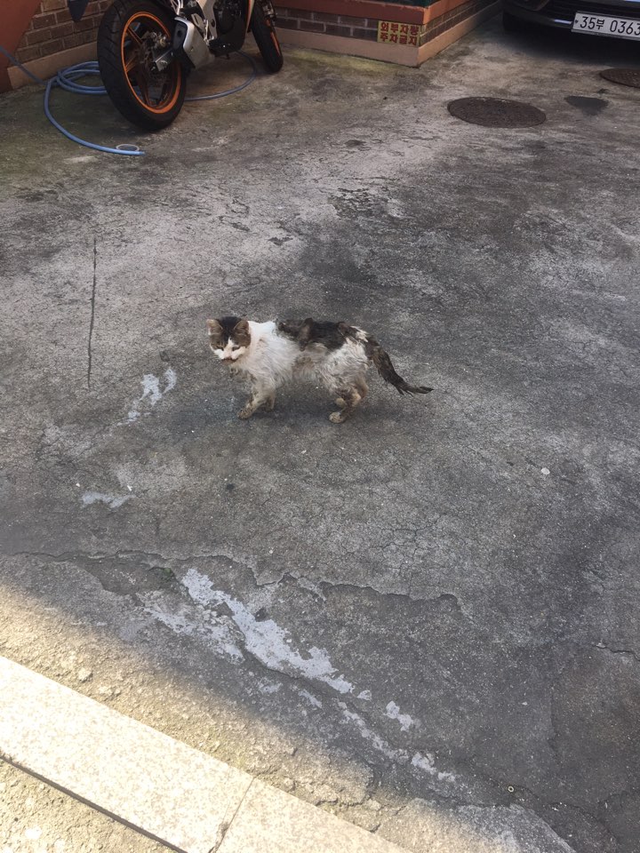 201710217132951333439574.jpeg