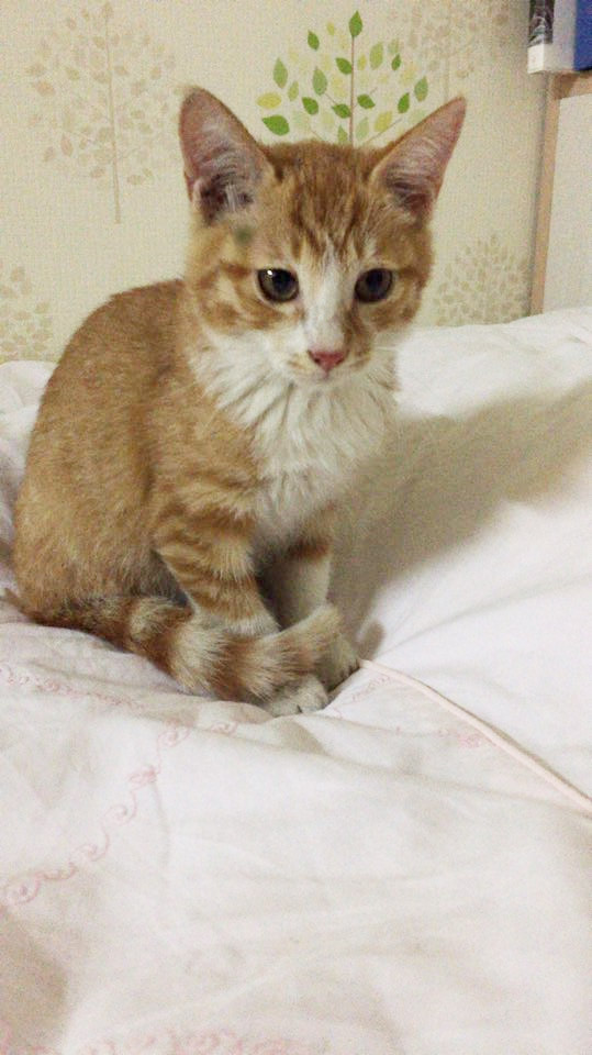 혹시나 해서 도움의손길을..