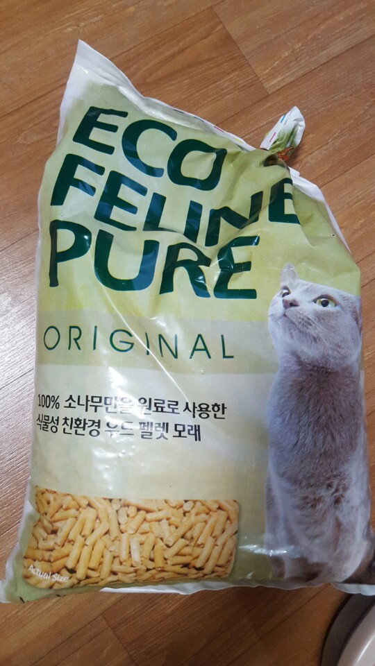 고양이 화장실 문의드립니다~~