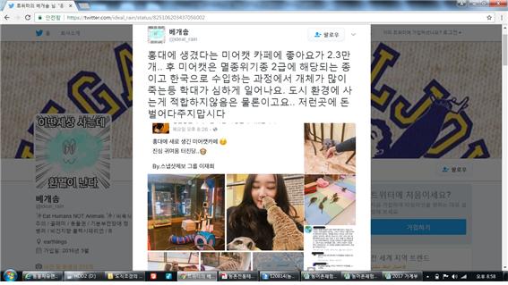 홍대 미어캣카페가 있는데, 불법 아닌지 조사 부탁드립니다.
