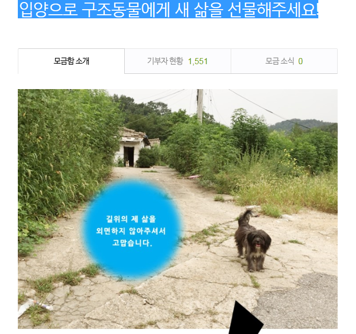 사진속 멀리 작게 보이는 강아지는 어떻게 됐나요?
