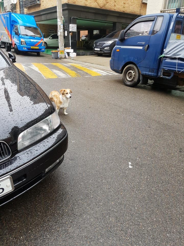 부탁과 함께.. 문의 드립니다. 도와주세요...
