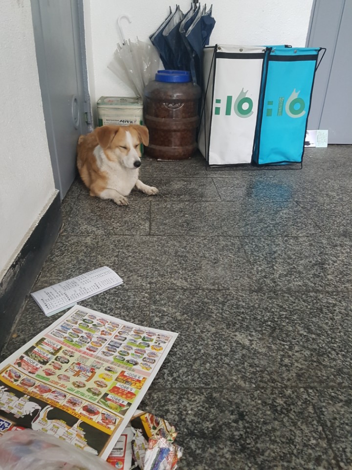 부탁과 함께.. 문의 드립니다. 도와주세요...