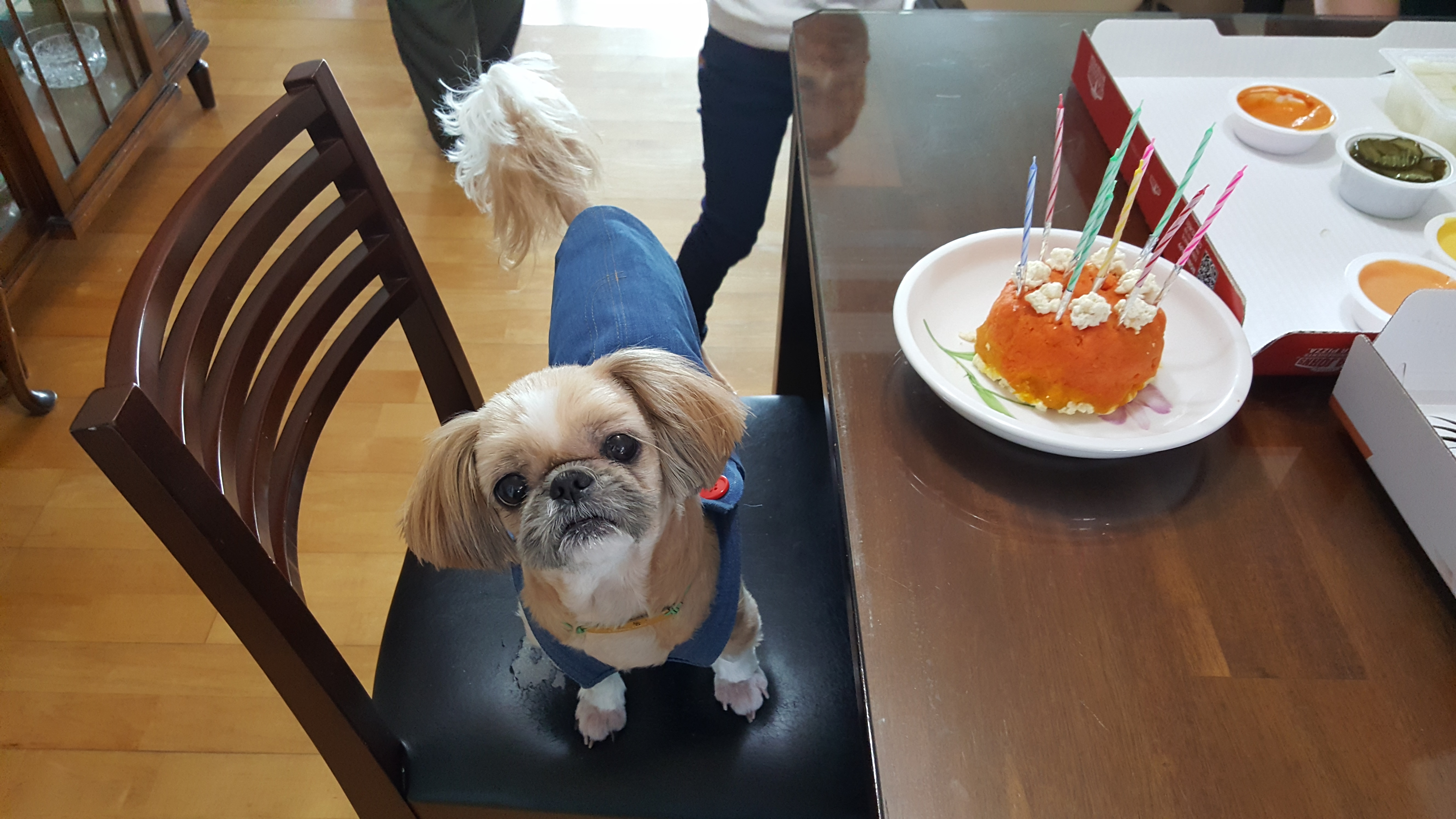 호동이의 10번째 생일을 축하해 주세요.
