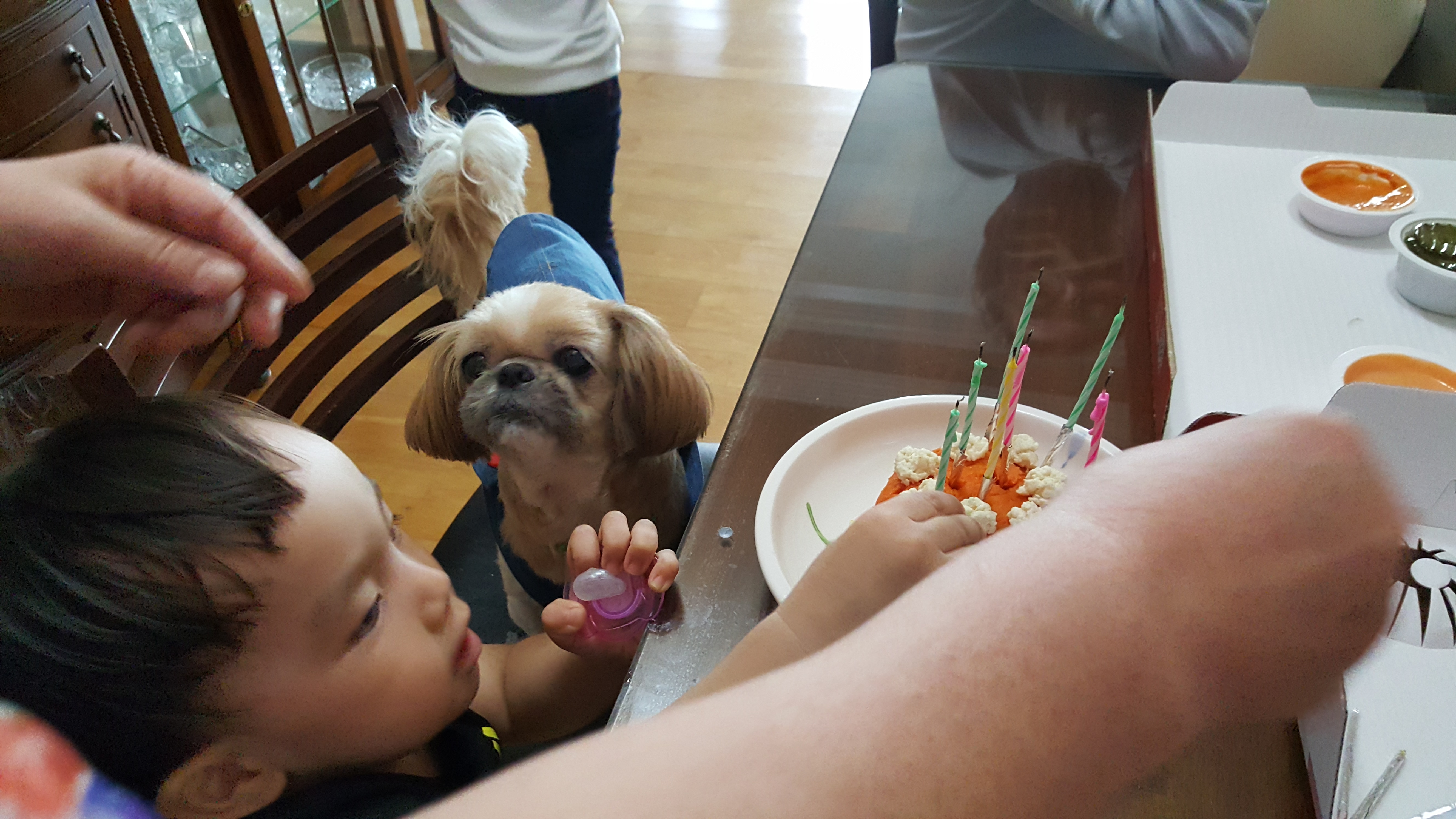 호동이의 10번째 생일을 축하해 주세요.