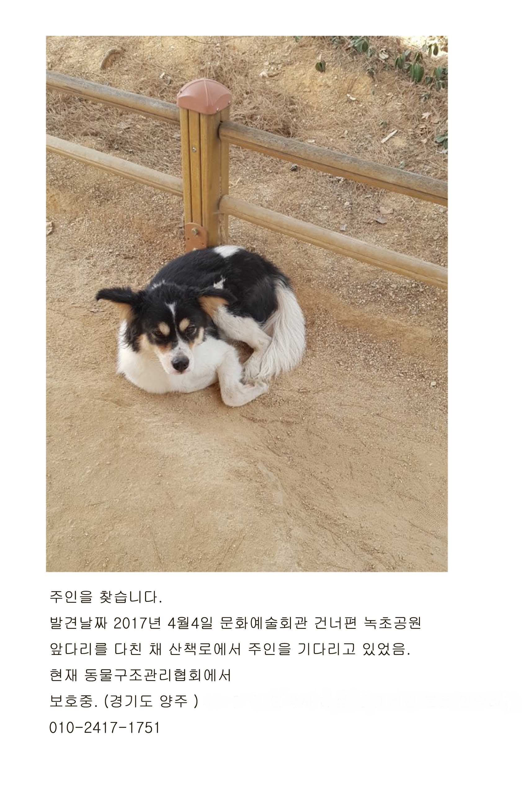 구조요청
