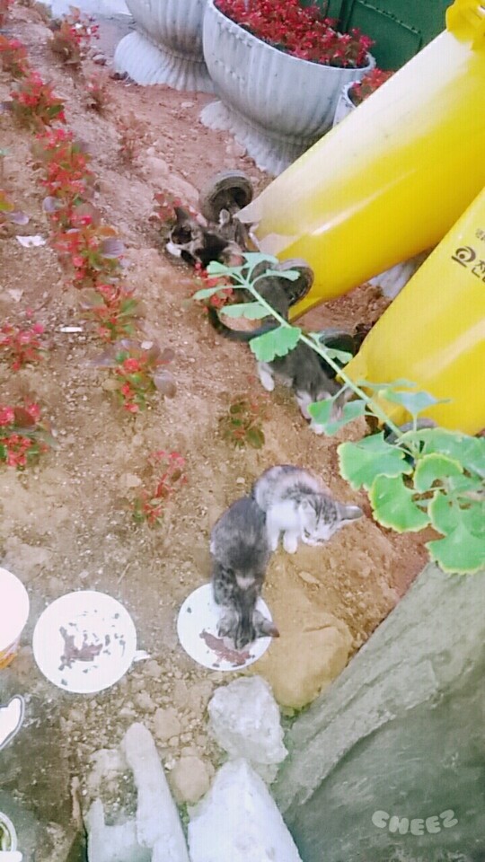 문의드리며 도움 요청드립니다.
