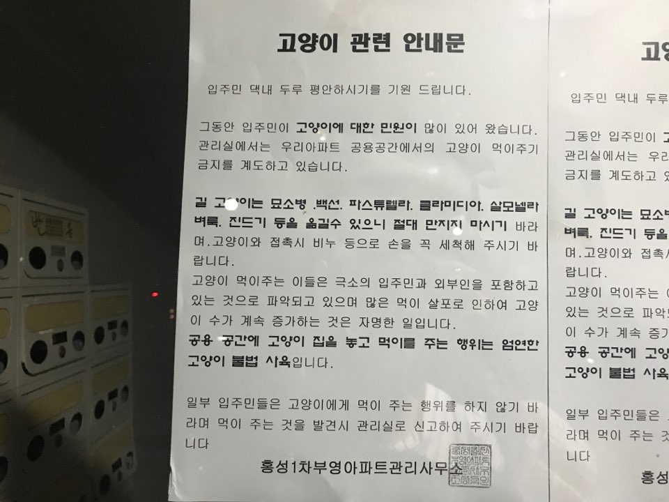 아파트에서 고양이 밥주면 신고하라고 경고문을 붙였어요!