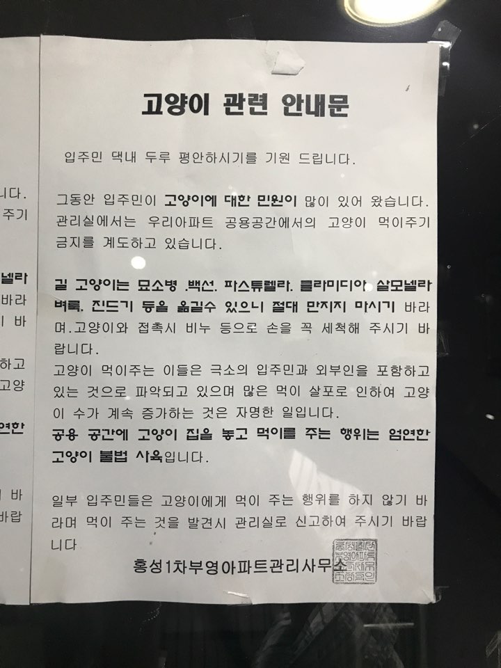 아파트에서 고양이 밥주면 신고하라고 경고문을 붙였어요!