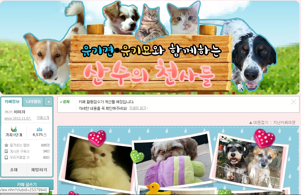 인천 "산수의 천사들' 유기동물보호소를 도와주세요!