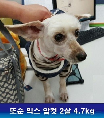 중성화수술 후원으로 많은 아이들이 새행복을 찾고 있습니다
