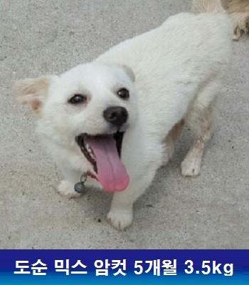 중성화수술 지원해주신 동물자유연대에 감사드립니다
