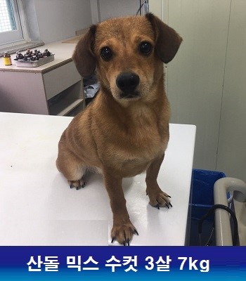 중성화수술 지원해주신 동물자유연대에 감사드립니다