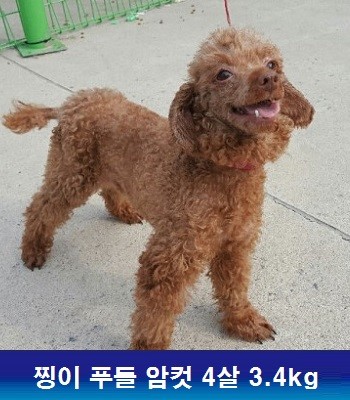 중성화수술 지원해주셔서 감사합니다