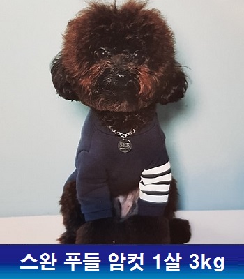 중성화수술 지원해주셔서 감사합니다