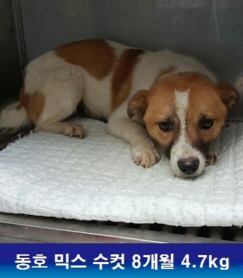 중성화수술 지원해주셔서 감사합니다