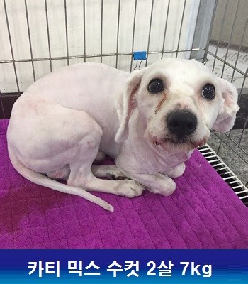 중성화수술 지원해주셔서 감사합니다
