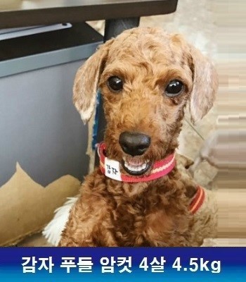 중성화수술 지원해주셔서 감사합니다