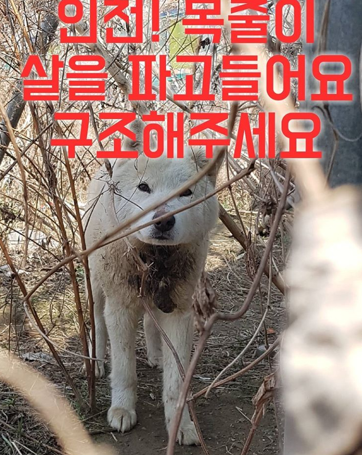 안녕하세요 제보를 보고 연락드립니다