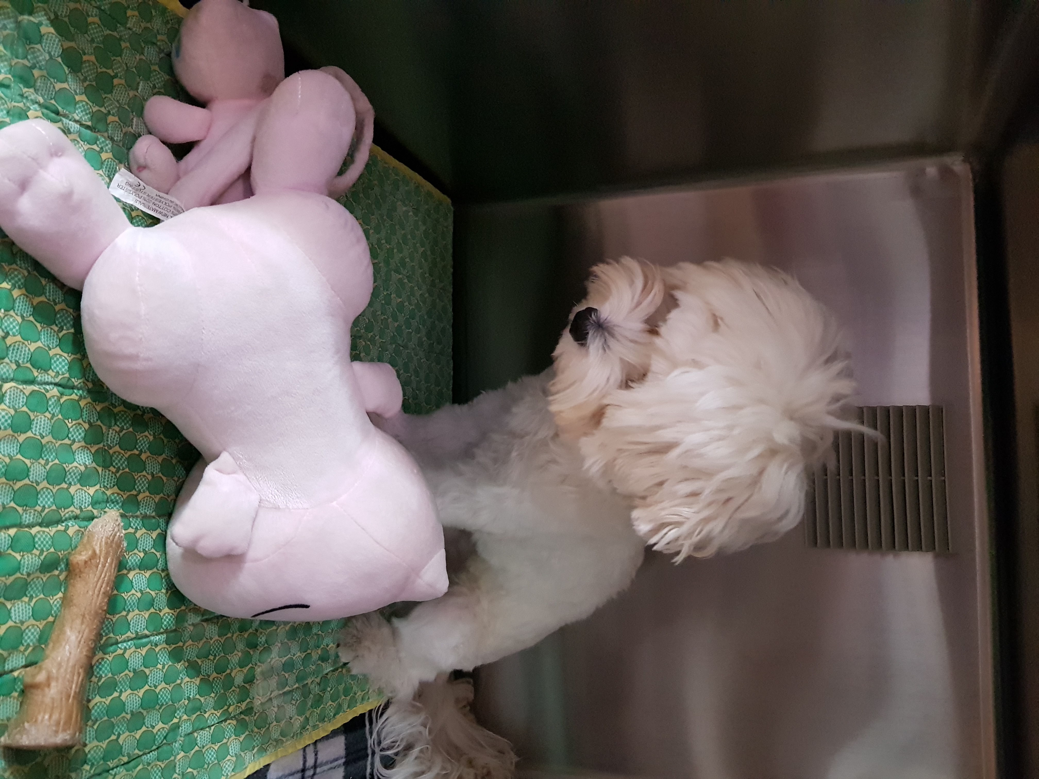 부탁 좀 드려도 될까요