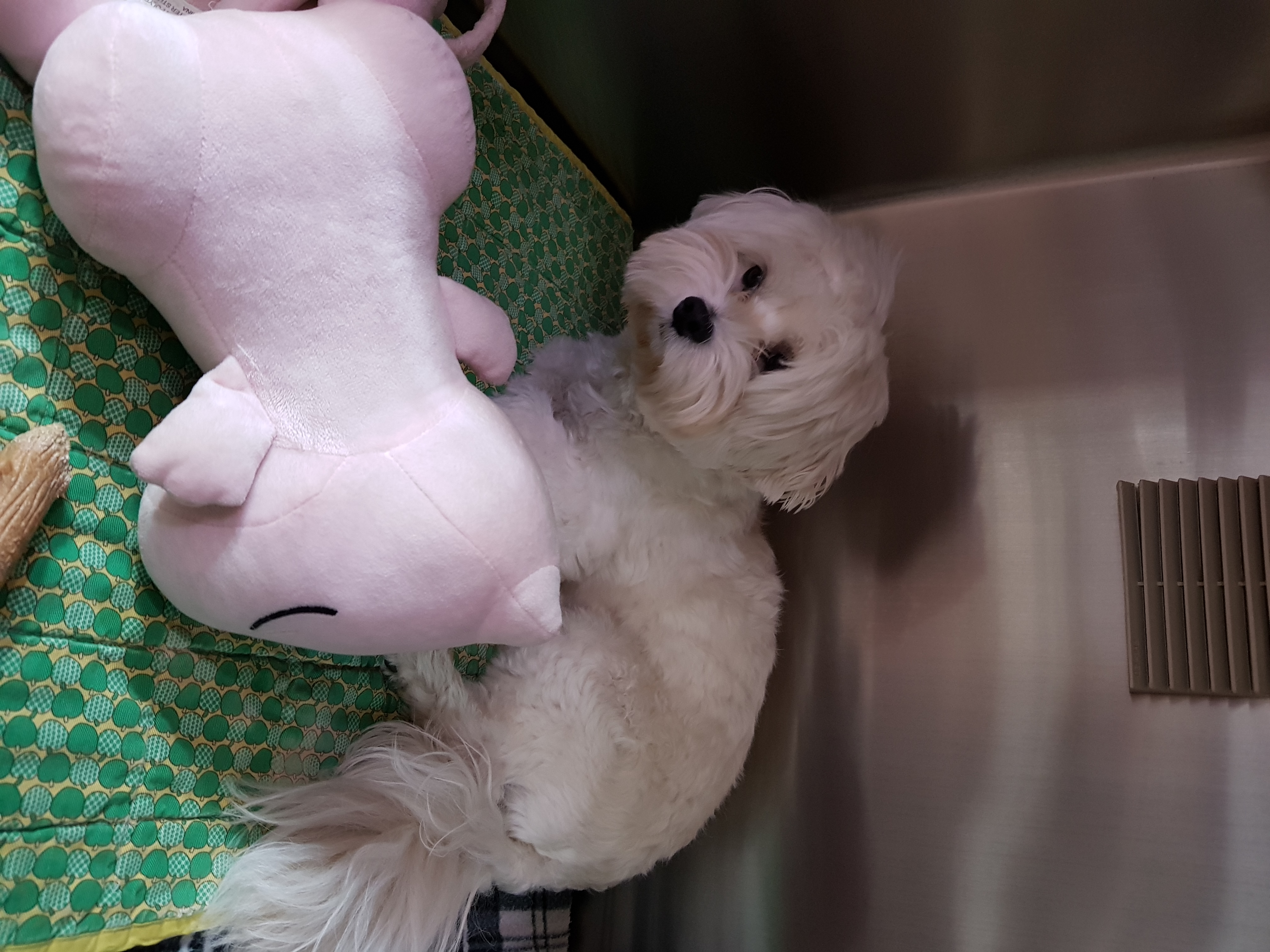 부탁 좀 드려도 될까요