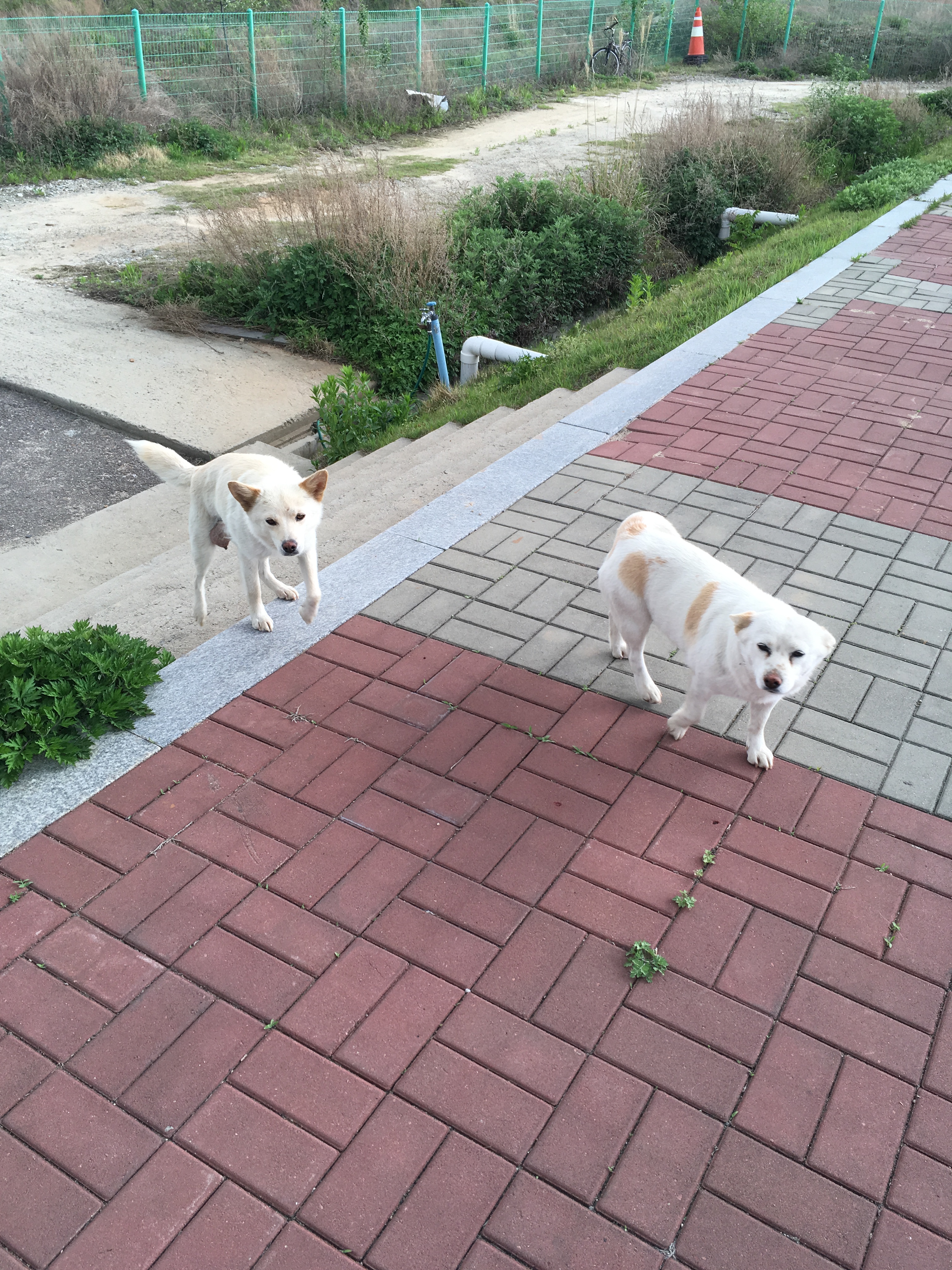 꼭 확인 부탁드립니다.