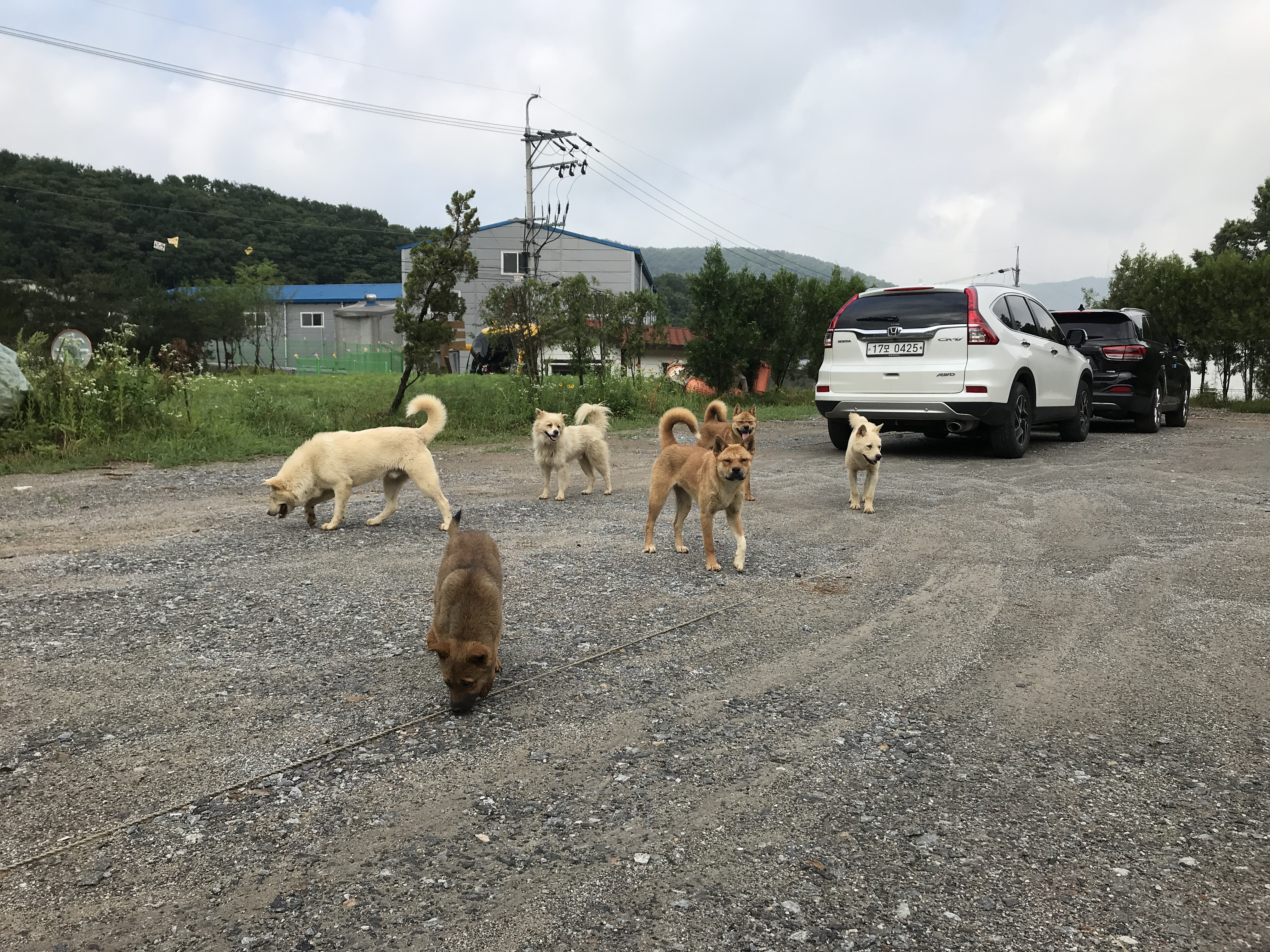 구조 조언 부탁드립니다 