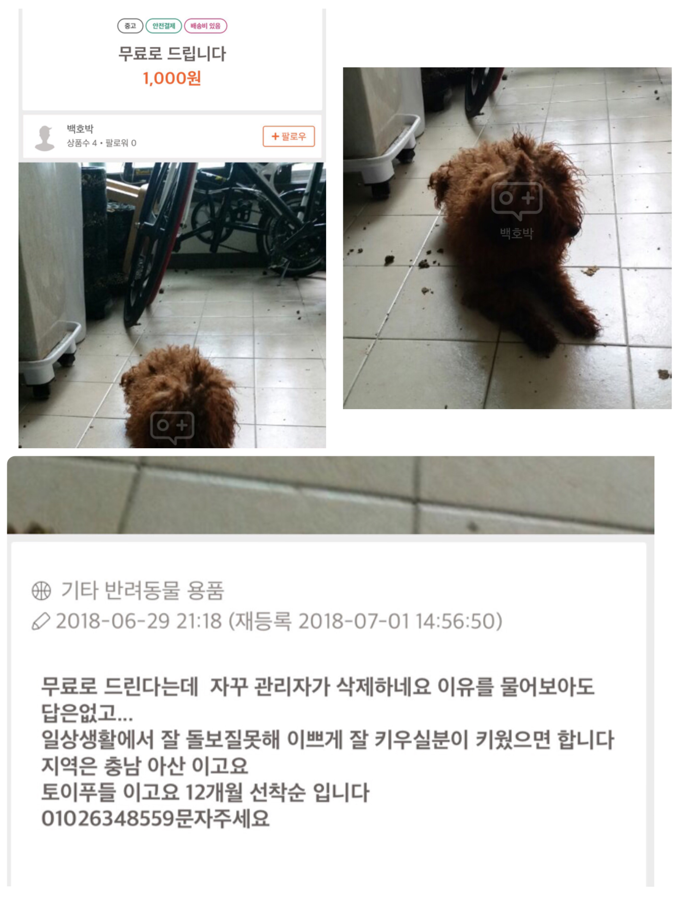 어떻해야할지알려주세요..