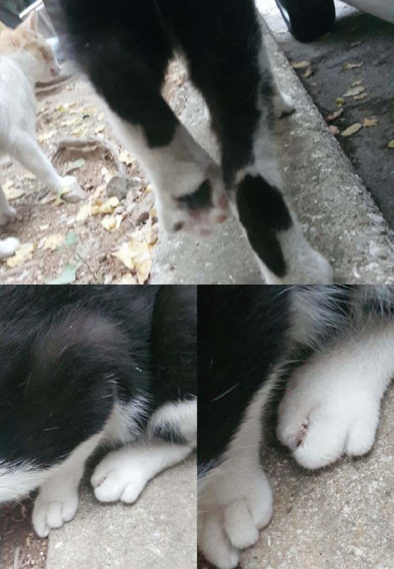 문의드립니다.